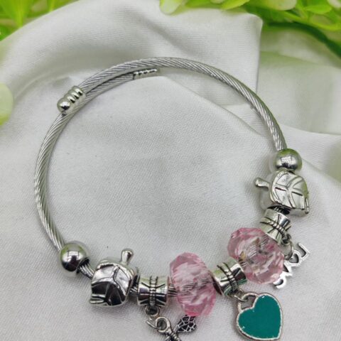 1 Piece Imported Elegant Pandora Bracelet with Heart & Love Charms ??? | Best Quality Bracelet For Girls & Women | Girls & Women Jewellery