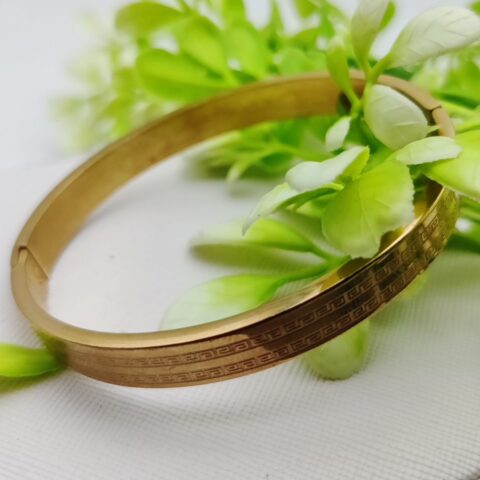 Adjustable Cartier Heart Charm Bracelet  Imported Luxury Gold Bracelet | Best Quality Artificial Bracelet For Girls & Women | Bracelet For Every Occasion | Elegant Design ?